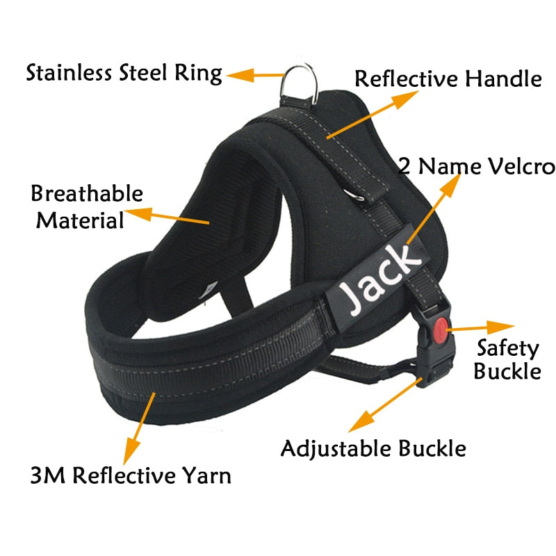 Custom Harness for Dogs with Name
