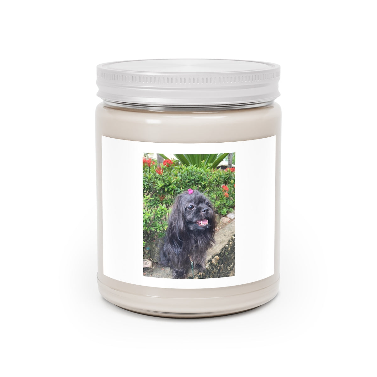 " Black Dog " Design Scented Candles, 9oz Holiday Gift Birthday Gift Comfort Spice Scent, Sea Breeze Scent, Vanilla Bean Scent Home Decor