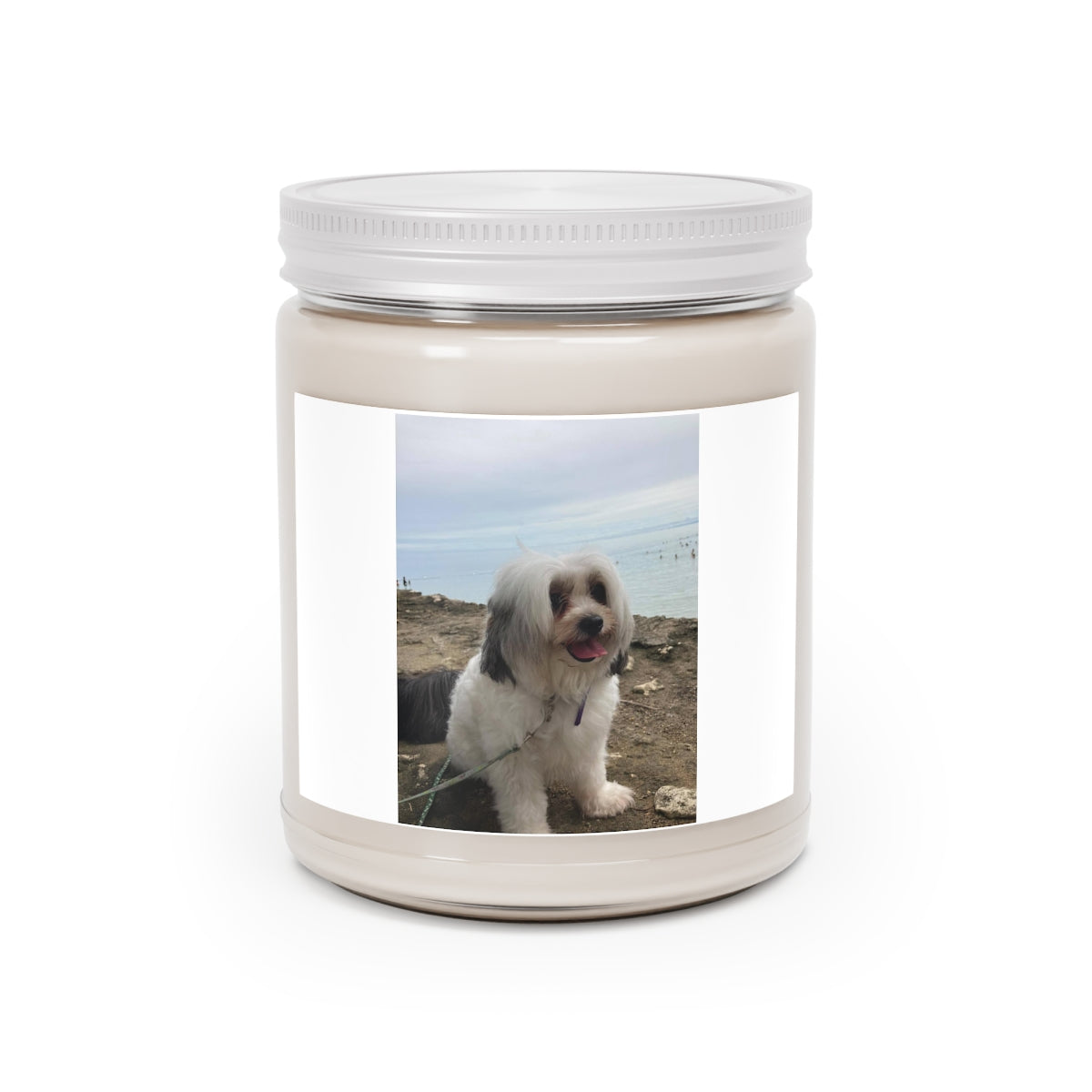 " Cute Dog " Design Scented Candles, 9oz Holiday Gift Birthday Gift Comfort Spice Scent, Sea Breeze Scent, Vanilla Bean Scent Home Decor