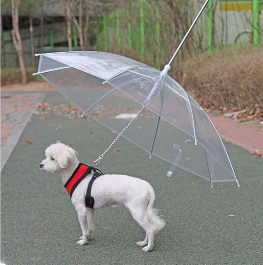 50% OFF PET UMBRELLA METAL CHAIN LEASH