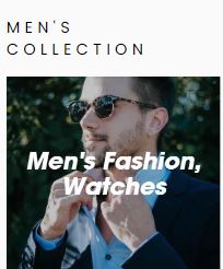 Men's Watches Collection