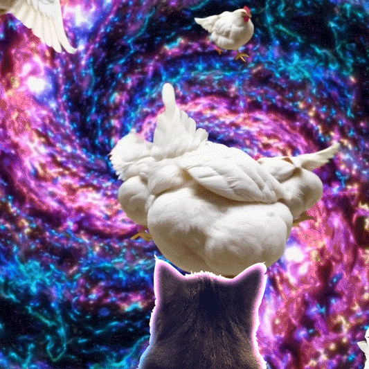 Select Sundays With Tabs the Cat, Makeup and Beauty Blog Mascot, Vol. 872