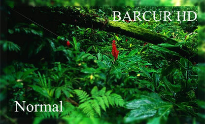 BARCUR Polarized Glasses Men Bamboo Wood Sun Glasses Women Fashion Mirror Sunglasses Brand Designer Eyewear