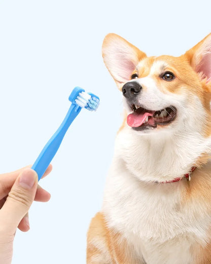 Dog Toothbrush Double Sided Pet Toothbrush Set Oral Care Double Head Toothbrushes 2PCS Set for Dog Teeth Cleaning Pet Products
