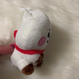 BTS 21 "RJ" Full Body White Keychain Plushie Line Friends‎ Bag Charm