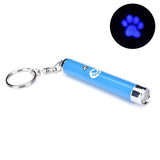 Portable Funny Cat Laser LED Pointer Pet Cat Accessories