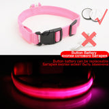 3pcs USB Charging LED Dog Collar Anti-Lost/Avoid Car Accident Collar