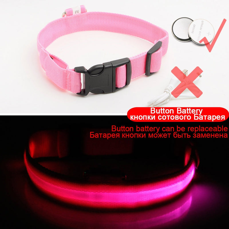 3pcs USB Charging LED Dog Collar Anti-Lost/Avoid Car Accident Collar