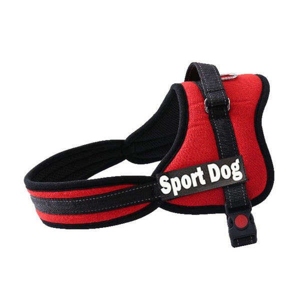 Custom Harness for Dogs with Name