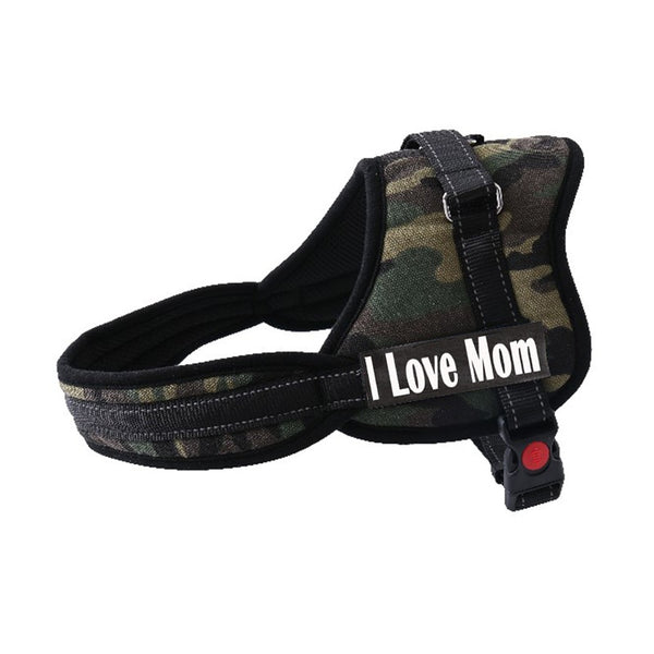 Custom Harness for Dogs with Name