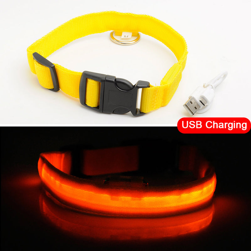 3pcs USB Charging LED Dog Collar Anti-Lost/Avoid Car Accident Collar