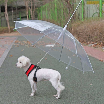 50% OFF Pet Umbrella Metal Chain Leash