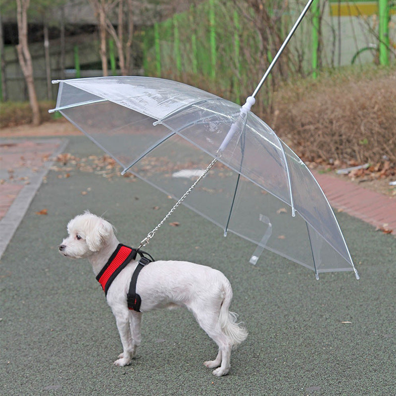 50% OFF Pet Umbrella Metal Chain Leash