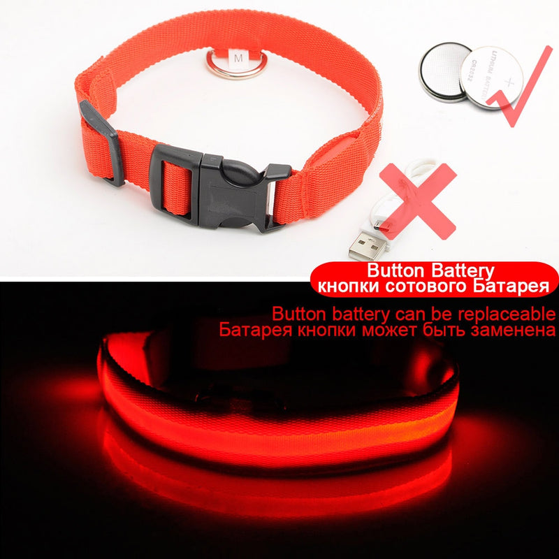 3pcs USB Charging LED Dog Collar Anti-Lost/Avoid Car Accident Collar