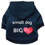 3pcs Creative Stylish Trendy Dog Clothes