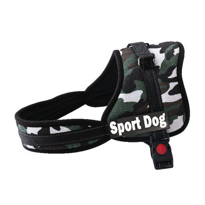 Custom Harness for Dogs with Name
