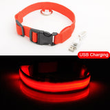 3pcs USB Charging LED Dog Collar Anti-Lost/Avoid Car Accident Collar