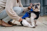 2-in-1 Travel Dog Vest With Built In Harness - Royal Blue