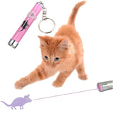 Portable Funny Cat Laser LED Pointer Pet Cat Accessories