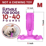 3pcs Meat-Flavored Dog Toothbrush