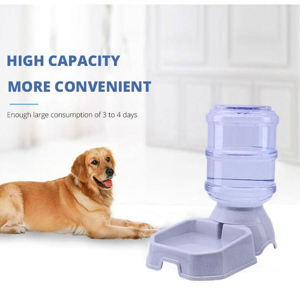 Automatic Pet Feeder For Dogs and Cats