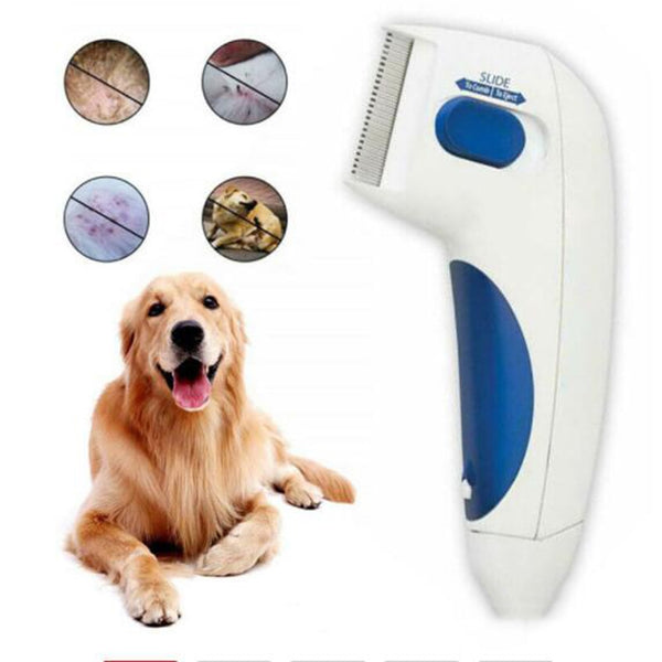 3pcs Anti Flea / Lice Comb Pet Dog Product Device Tool