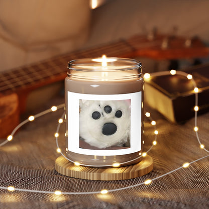 " White Paw " Design Scented Candles, 9oz Holiday Gift Birthday Gift Comfort Spice Scent, Sea Breeze Scent, Vanilla Bean Scent Home Decor