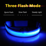 3pcs USB Charging LED Dog Collar Anti-Lost/Avoid Car Accident Collar