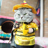 Trendy, New and Bright Color Pet Cowboy Rider Dog and Cat Costume Clothes