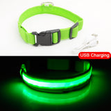 3pcs USB Charging LED Dog Collar Anti-Lost/Avoid Car Accident Collar