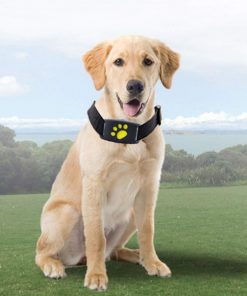 GPS Dog Collar Pet Locator Finder