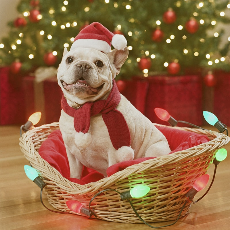 3pcs Christmas Pet Santa Hat