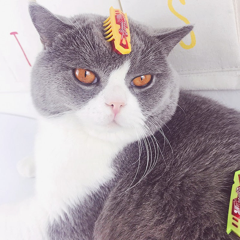 Funny Robotic Bug Toy for Cats