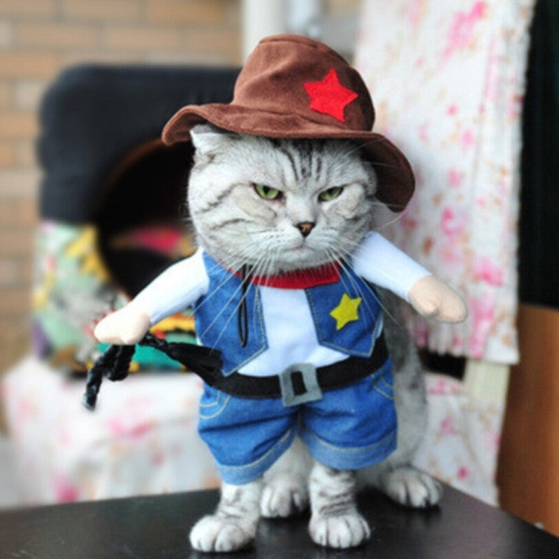 Trendy, New and Bright Color Pet Cowboy Rider Dog and Cat Costume Clothes