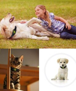 GPS Dog Collar Pet Locator Finder