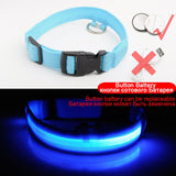 3pcs USB Charging LED Dog Collar Anti-Lost/Avoid Car Accident Collar