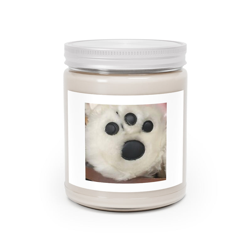 " White Paw " Design Scented Candles, 9oz Holiday Gift Birthday Gift Comfort Spice Scent, Sea Breeze Scent, Vanilla Bean Scent Home Decor