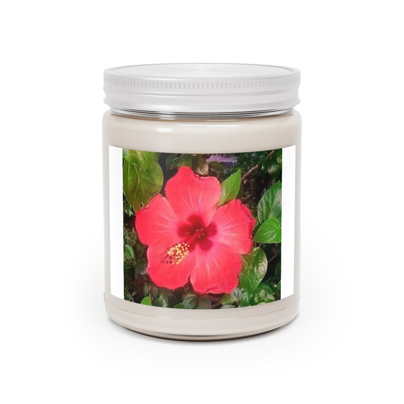 " Gumamela Flower " Design Scented Candles, 9oz Holiday Gift Birthday Gift Comfort Spice Scent, Sea Breeze Scent, Vanilla Bean Scent Home Decor