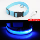 3pcs USB Charging LED Dog Collar Anti-Lost/Avoid Car Accident Collar