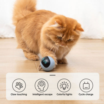 Interactive and Engaging Toy for your Cat or Kitten Electronic Ball