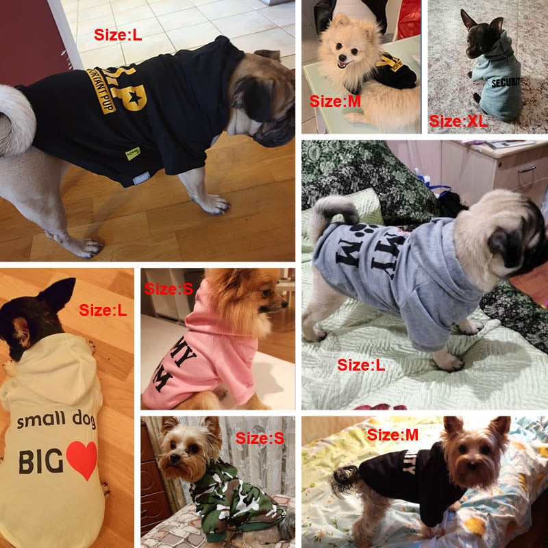 3pcs Creative Stylish Trendy Dog Clothes