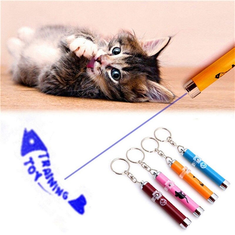 Portable Funny Cat Laser LED Pointer Pet Cat Accessories