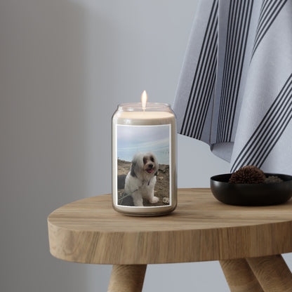" Cute Dog " Design Scented Candle, 13.75oz Holiday Gift Birthday Gift Comfort Spice Scent, Sea Breeze Scent, Vanilla Bean Scent Home Decor
