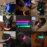 3pcs USB Charging LED Dog Collar Anti-Lost/Avoid Car Accident Collar