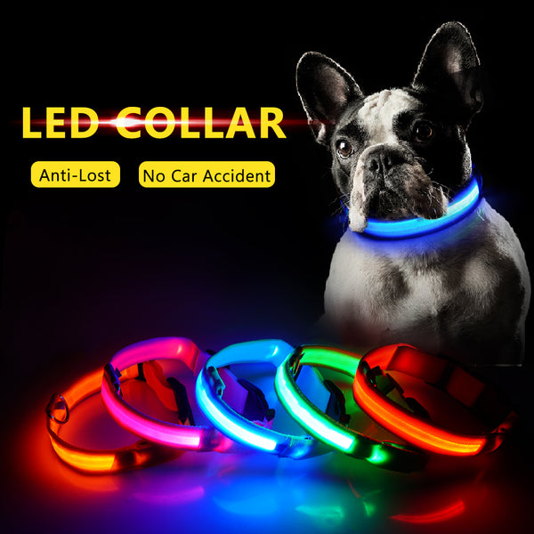 3pcs USB Charging LED Dog Collar Anti-Lost/Avoid Car Accident Collar